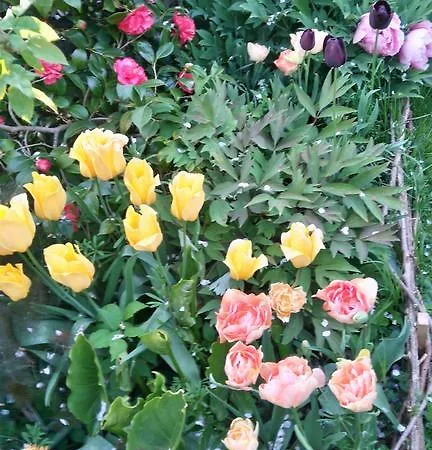 Bed & Breakfast Aux Rives De Honfleur